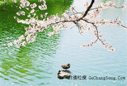 鹅鸭不知春去尽，争随流水趁桃花。